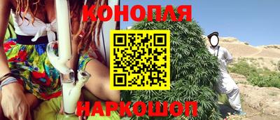 гидра Краснознаменск