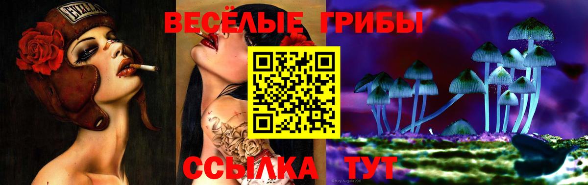Псилоцибиновые грибы MAGIC MUSHROOMS Карачаевск