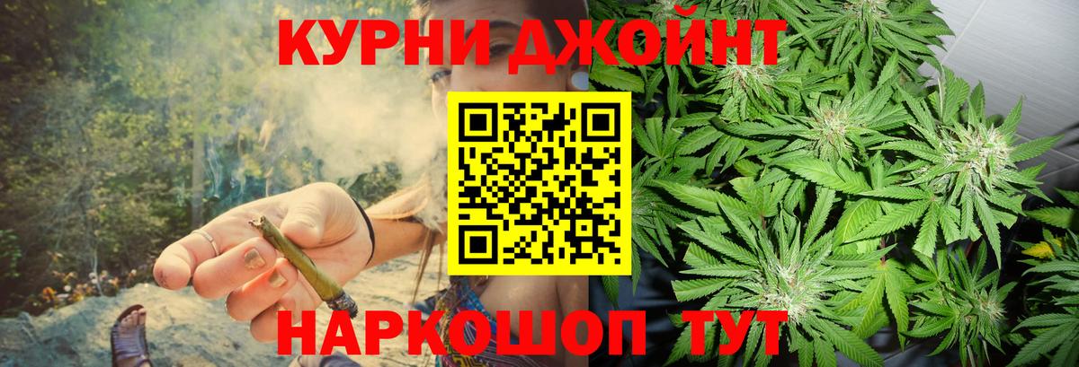 Канабис марихуана  Вход с VPN  Карачаевск  Канабис ГИДРОПОН  Марихуана сатива  Каннабис OG Kush 
